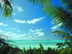 Picture postcard